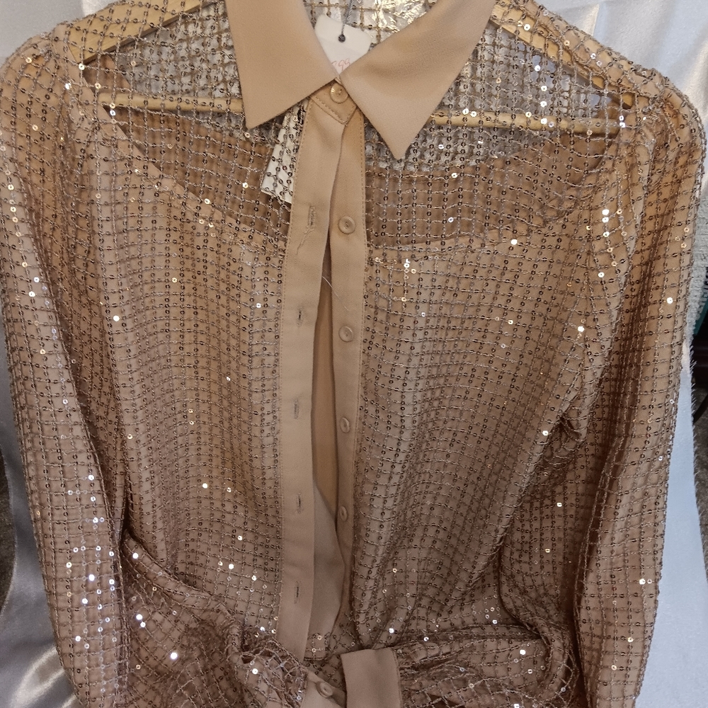 Sequin Blouse